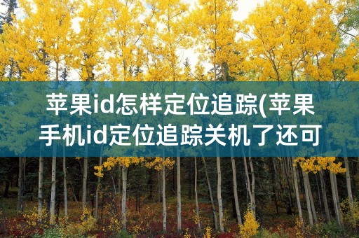 苹果id怎样定位追踪(苹果手机id定位追踪关机了还可以追吗)