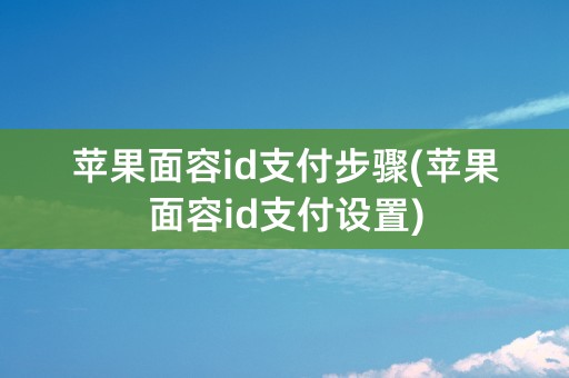 苹果面容id支付步骤(苹果面容id支付设置)