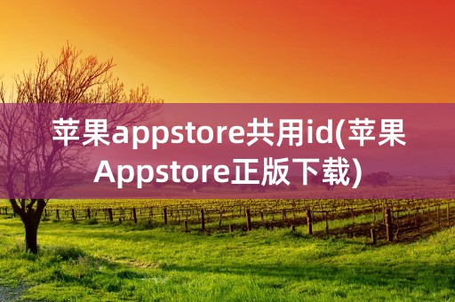 苹果appstore共用id(苹果Appstore正版下载)