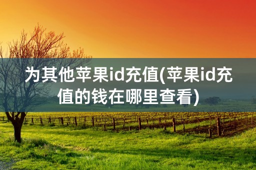 为其他苹果id充值(苹果id充值的钱在哪里查看)