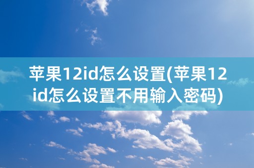 苹果12id怎么设置(苹果12id怎么设置不用输入密码)