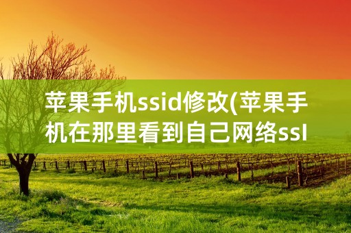 苹果手机ssid修改(苹果手机在那里看到自己网络ssID)