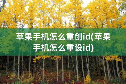 苹果手机怎么重创id(苹果手机怎么重设id)