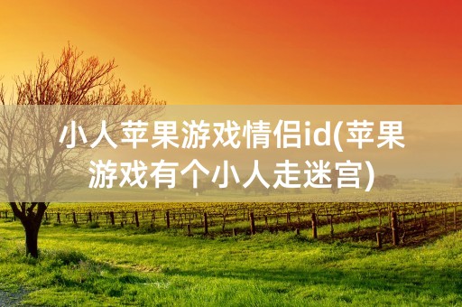 小人苹果游戏情侣id(苹果游戏有个小人走迷宫)