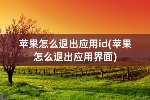 苹果怎么退出应用id(苹果怎么退出应用界面)