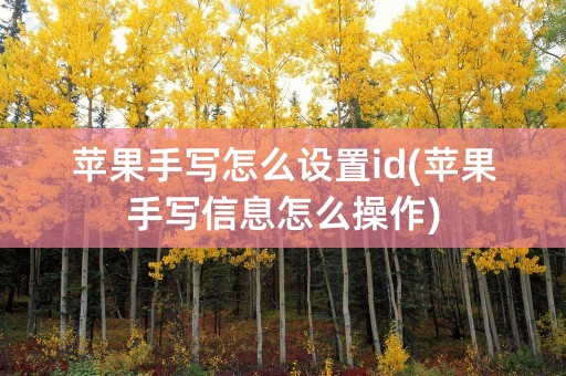 苹果手写怎么设置id(苹果手写信息怎么操作)