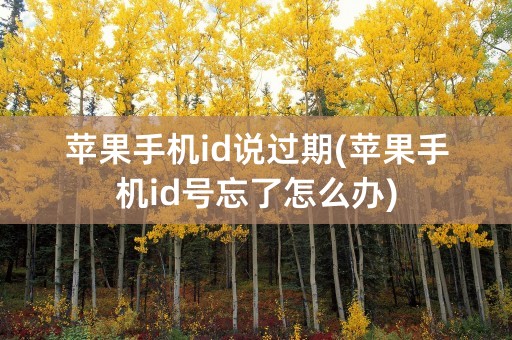 苹果手机id说过期(苹果手机id号忘了怎么办)