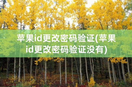 苹果id更改密码验证(苹果id更改密码验证没有)