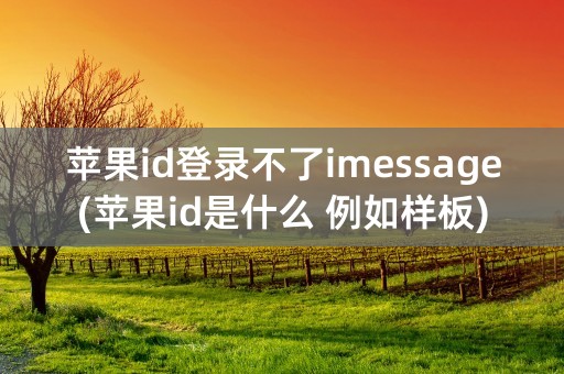 苹果id登录不了imessage(苹果id是什么 例如样板)