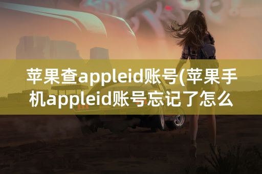 苹果查appleid账号(苹果手机appleid账号忘记了怎么查)