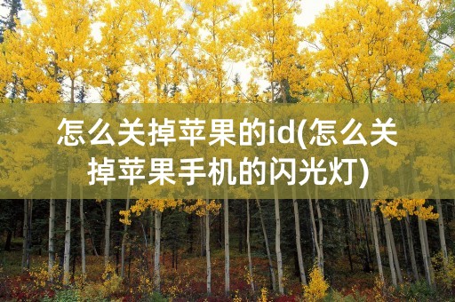 怎么关掉苹果的id(怎么关掉苹果手机的闪光灯)