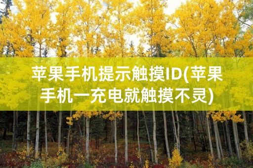 苹果手机提示触摸ID(苹果手机一充电就触摸不灵)