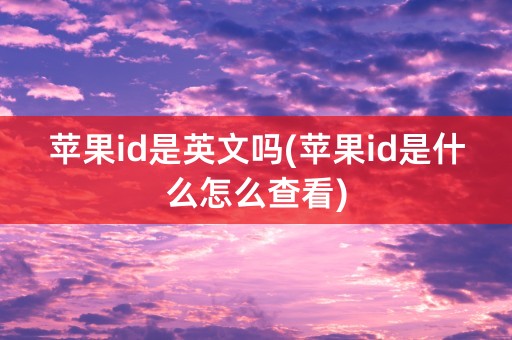 苹果id是英文吗(苹果id是什么怎么查看)