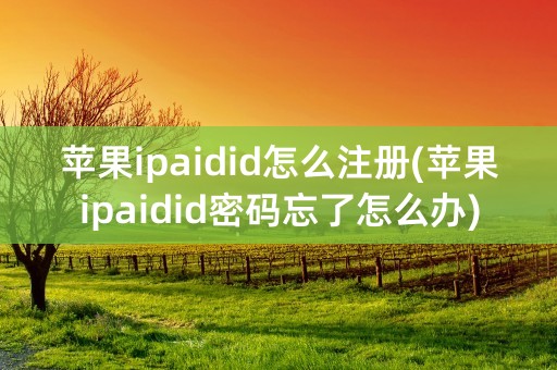 苹果ipaidid怎么注册(苹果ipaidid密码忘了怎么办)