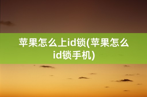 苹果怎么上id锁(苹果怎么id锁手机)