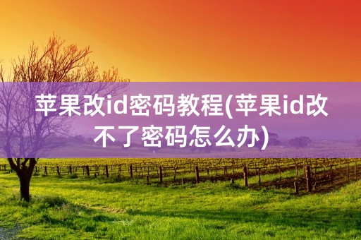 苹果改id密码教程(苹果id改不了密码怎么办)