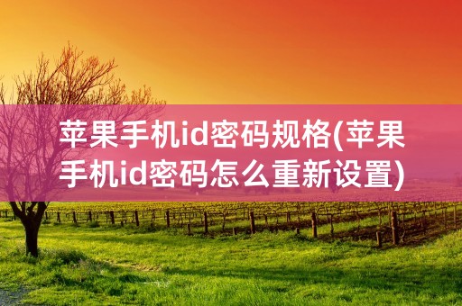 苹果手机id密码规格(苹果手机id密码怎么重新设置)