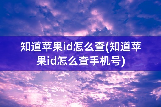 知道苹果id怎么查(知道苹果id怎么查手机号)