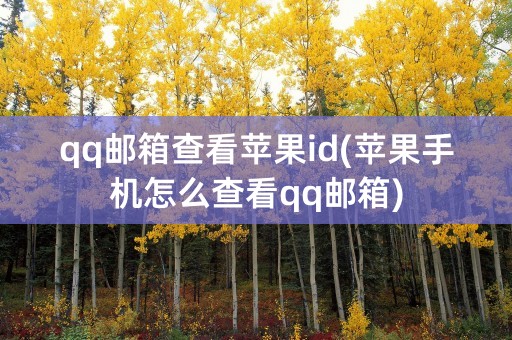 qq邮箱查看苹果id(苹果手机怎么查看qq邮箱)