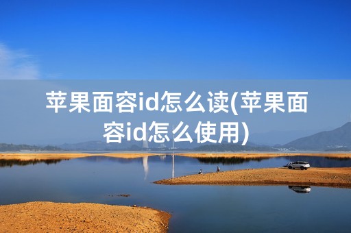 苹果面容id怎么读(苹果面容id怎么使用)