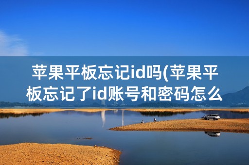 苹果平板忘记id吗(苹果平板忘记了id账号和密码怎么激活)