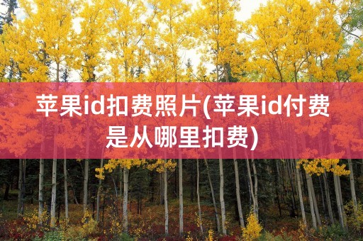 苹果id扣费照片(苹果id付费是从哪里扣费)