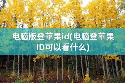 电脑版登苹果id(电脑登苹果ID可以看什么)