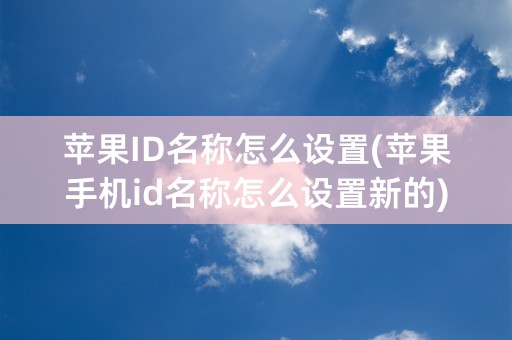 苹果ID名称怎么设置(苹果手机id名称怎么设置新的)