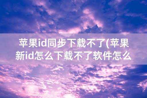 苹果id同步下载不了(苹果新id怎么下载不了软件怎么办)