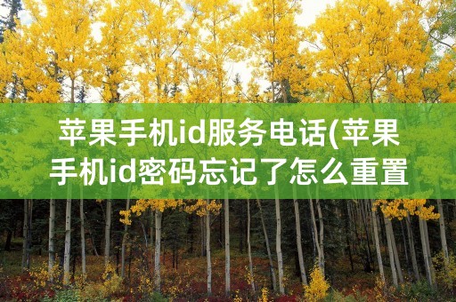 苹果手机id服务电话(苹果手机id密码忘记了怎么重置)