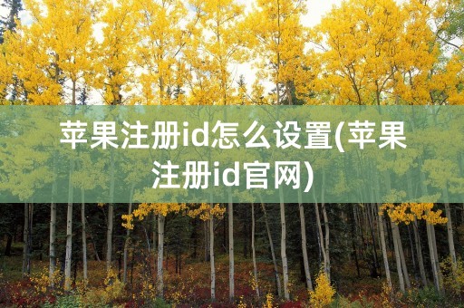 苹果注册id怎么设置(苹果注册id官网)