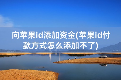 向苹果id添加资金(苹果id付款方式怎么添加不了)