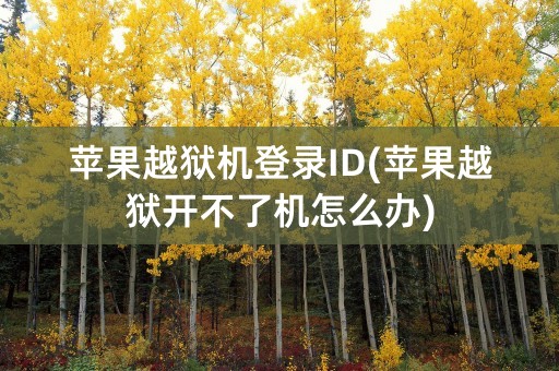 苹果越狱机登录ID(苹果越狱开不了机怎么办)