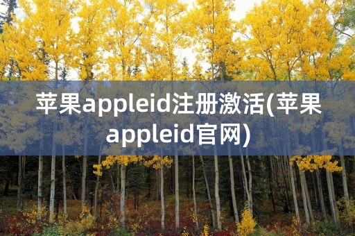 苹果appleid注册激活(苹果appleid官网)