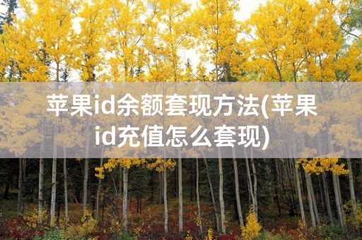 苹果id余额套现方法(苹果id充值怎么套现)