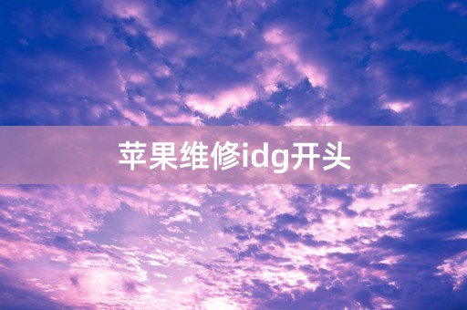 苹果维修idg开头