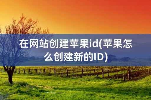 在网站创建苹果id(苹果怎么创建新的ID)