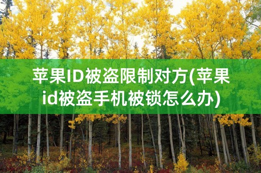 苹果ID被盗限制对方(苹果id被盗手机被锁怎么办)