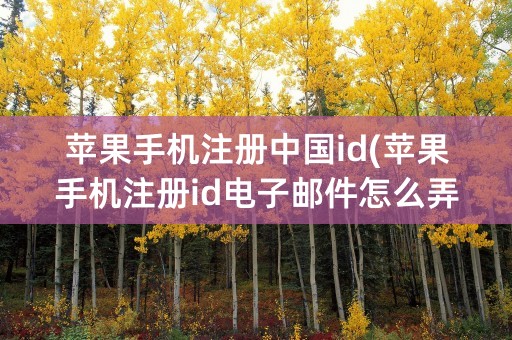 苹果手机注册中国id(苹果手机注册id电子邮件怎么弄)