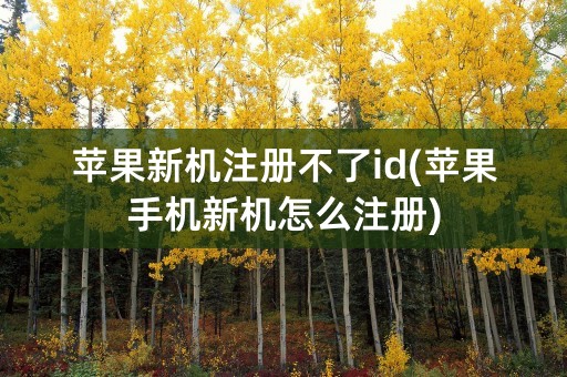 苹果新机注册不了id(苹果手机新机怎么注册)