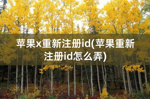 苹果x重新注册id(苹果重新注册id怎么弄)