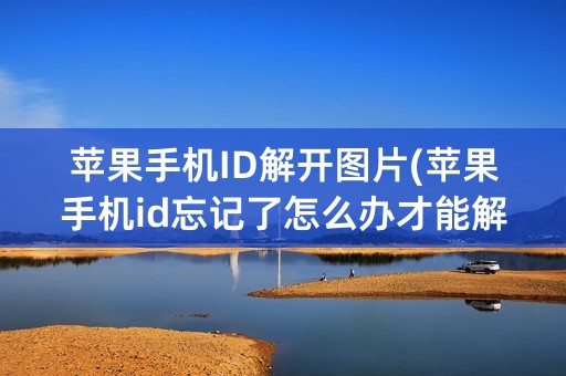 苹果手机ID解开图片(苹果手机id忘记了怎么办才能解开)