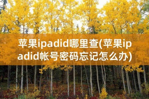 苹果ipadid哪里查(苹果ipadid帐号密码忘记怎么办)