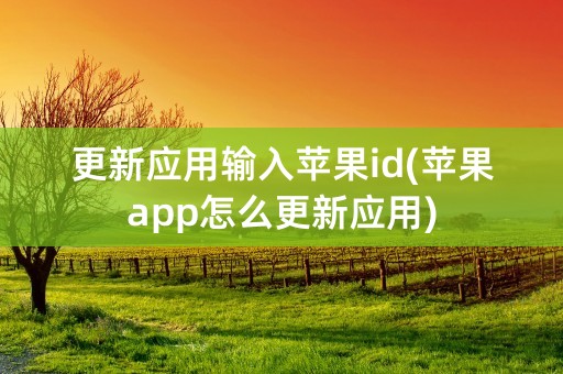 更新应用输入苹果id(苹果app怎么更新应用)