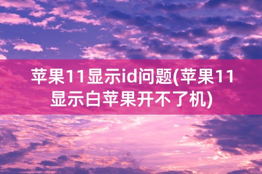 苹果11显示id问题(苹果11显示白苹果开不了机)