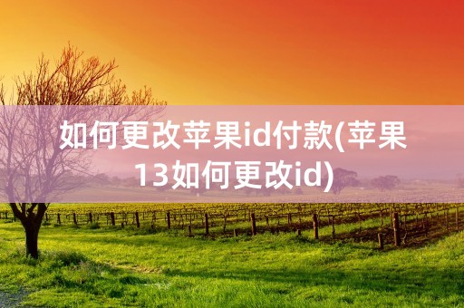 如何更改苹果id付款(苹果13如何更改id)