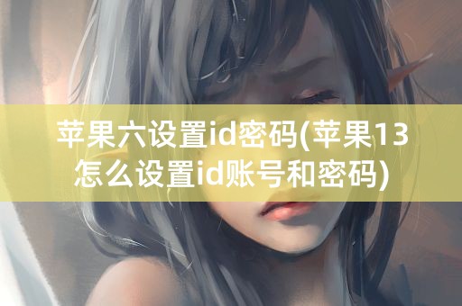 苹果六设置id密码(苹果13怎么设置id账号和密码)