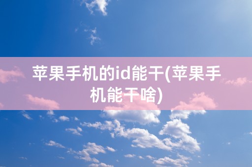 苹果手机的id能干(苹果手机能干啥)