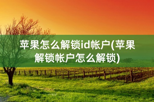 苹果怎么解锁id帐户(苹果解锁帐户怎么解锁)