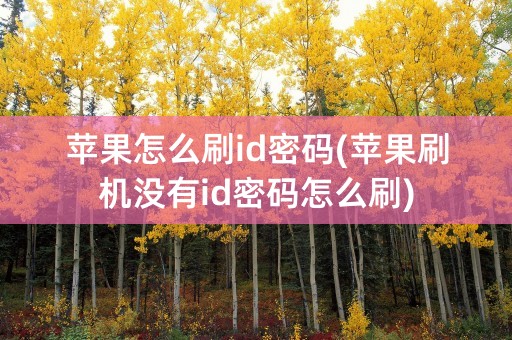 苹果怎么刷id密码(苹果刷机没有id密码怎么刷)